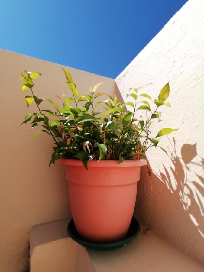 Penha T3 Distrikt Faro